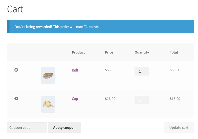 Loyalty Program Message In The WooCommerce Cart