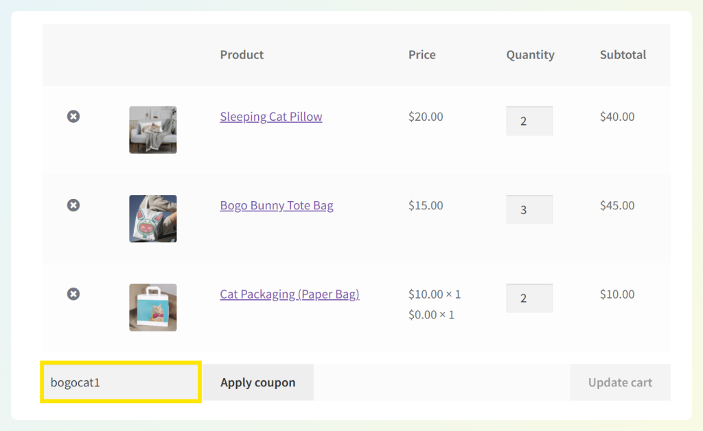 Cart page with coupon code field