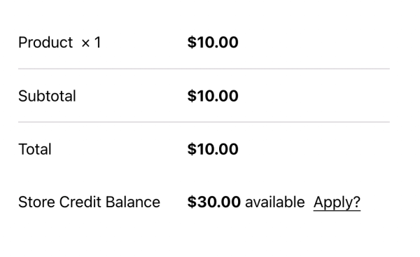 Store Charge Balance Example How Does Store Credit Work? (Complete Store Credit Guide)