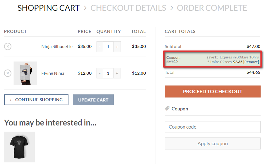 An example of a WooCommerce coupon