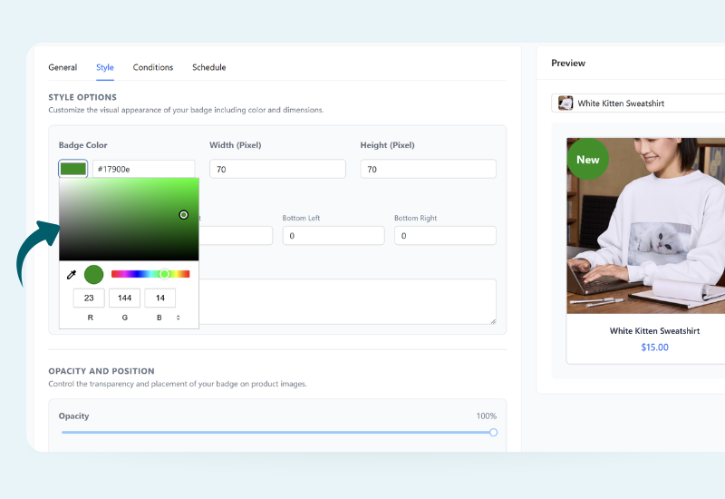 Advanced Promo Kit Style Settings