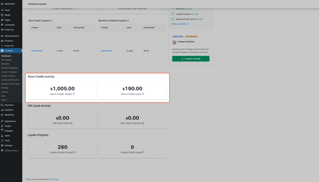 Store Credits Activity section on the Dashboard