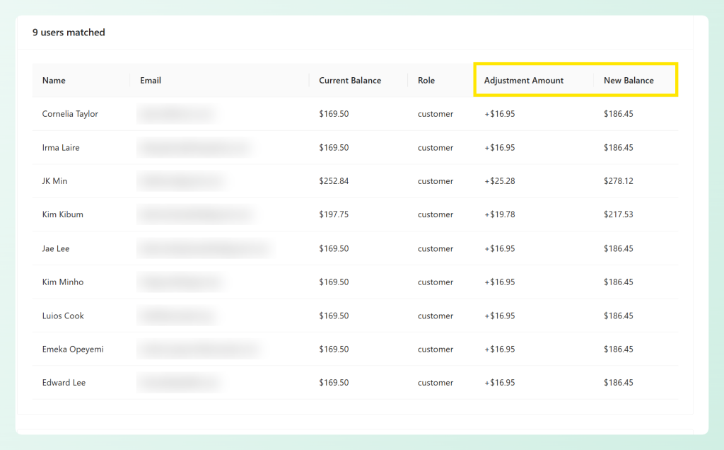 Preview table showing adjustment amount and new balance columns