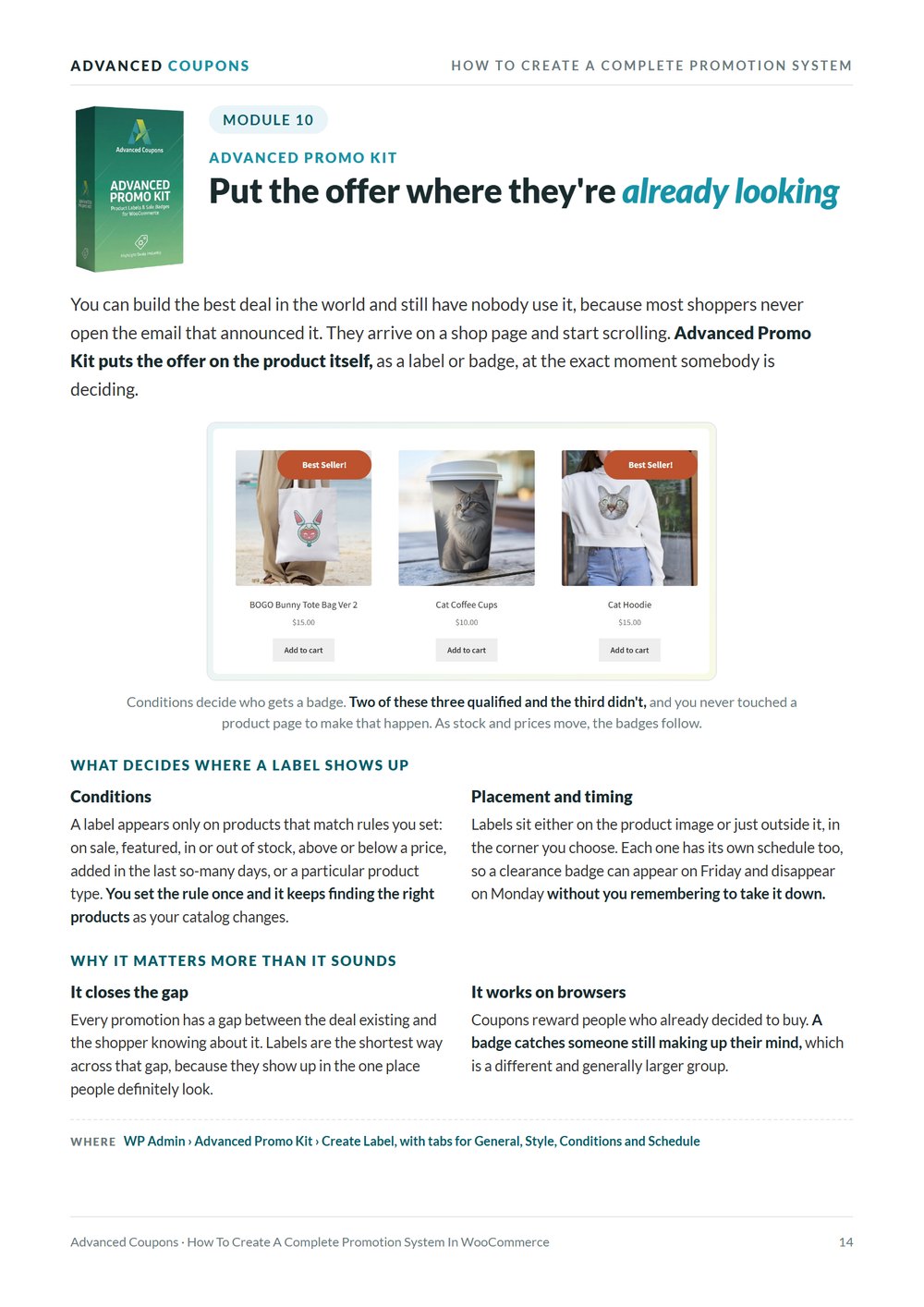 Advanced Promo Kit section showing product labels on a WooCommerce shop grid